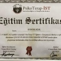 Resmi büyüt: certificate 11