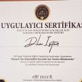Resmi büyüt: certificate 5