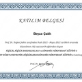 Resmi büyüt: certificate 3