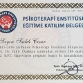 Resmi büyüt: certificate 3