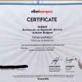 Resmi büyüt: certificate 9