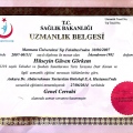 Resmi büyüt: certificate 2