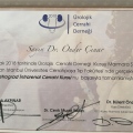 Resmi büyüt: certificate 4