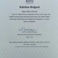 Resmi büyüt: certificate 4