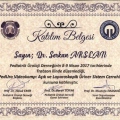 Resmi büyüt: certificate 53