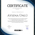 Resmi büyüt: certificate 3