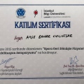 Resmi büyüt: certificate 15