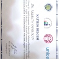 Resmi büyüt: certificate 5