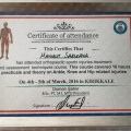Resmi büyüt: certificate 1
