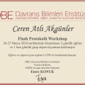 Resmi büyüt: certificate 3
