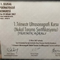 Resmi büyüt: certificate 6