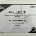 Resmi büyüt: certificate 9
