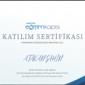 Resmi büyüt: certificate 3