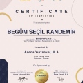 Resmi büyüt: certificate 6
