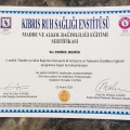 Resmi büyüt: certificate 5