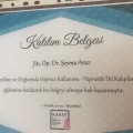 Resmi büyüt: certificate 30