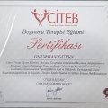 Resmi büyüt: certificate 6