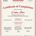 Resmi büyüt: certificate 3