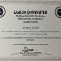 Resmi büyüt: certificate 9