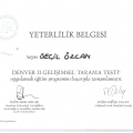 Resmi büyüt: certificate 14