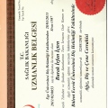 Resmi büyüt: certificate 1