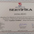 Resmi büyüt: certificate 1