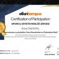 Resmi büyüt: certificate 8