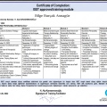 Resmi büyüt: certificate 4