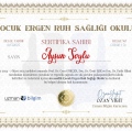 Resmi büyüt: certificate 1