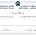 Resmi büyüt: certificate 11