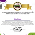 Resmi büyüt: certificate 4