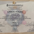 Resmi büyüt: certificate 4