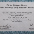 Resmi büyüt: certificate 1