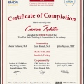 Resmi büyüt: certificate 1