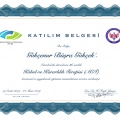 Resmi büyüt: certificate 2