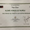 Resmi büyüt: certificate 2
