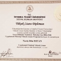 Resmi büyüt: certificate 2