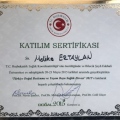Resmi büyüt: certificate 2