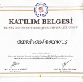 Resmi büyüt: certificate 5