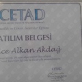 Resmi büyüt: certificate 5