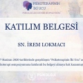 Resmi büyüt: certificate 29