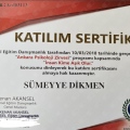 Resmi büyüt: certificate 7