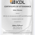 Resmi büyüt: certificate 26