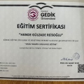 Resmi büyüt: certificate 3