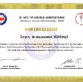 Resmi büyüt: certificate 5