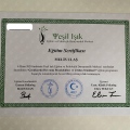 Resmi büyüt: certificate 43