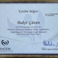 Resmi büyüt: certificate 2