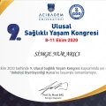 Resmi büyüt: certificate 19
