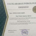 Resmi büyüt: certificate 4