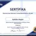 Resmi büyüt: certificate 12